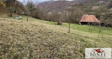 casa-de-vanzare-in-muntii-apuseni-cu-17596-mp-teren-8