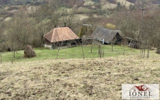 casa-de-vanzare-in-muntii-apuseni-cu-17596-mp-teren-12