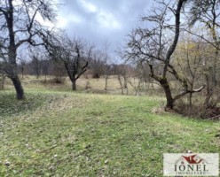 casa-de-vanzare-in-muntii-apuseni-cu-17596-mp-teren-14