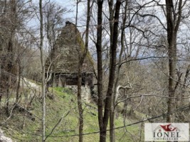 casa-de-vanzare-in-muntii-apuseni-cu-17596-mp-teren-15