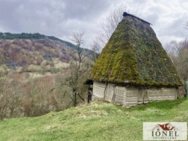 casa-de-vanzare-in-muntii-apuseni-cu-17596-mp-teren-18