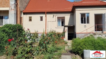 casa-parter-cu-teren-45-arii-str-botizului-id-22915