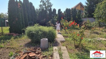 casa-parter-cu-teren-45-arii-str-botizului-id-22915-2