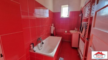 casa-parter-cu-teren-45-arii-str-botizului-id-22915-6