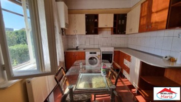casa-parter-cu-teren-45-arii-str-botizului-id-22915-9