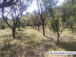 casa-4-camere-teren-9807-mp-berevoiesti-arges-17