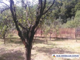 casa-4-camere-teren-9807-mp-berevoiesti-arges-16