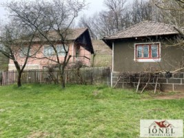 casa-cu-20000-mp-de-teren-de-vanzare-in-zlatna-1