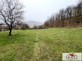casa-cu-20000-mp-de-teren-de-vanzare-in-zlatna-13