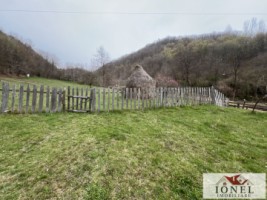 casa-cu-20000-mp-de-teren-de-vanzare-in-zlatna-17
