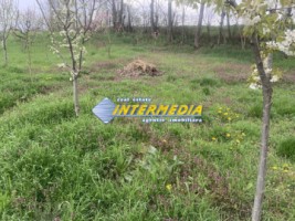 ocazie-teren-intravilan-300-mp-450-mp-si-500-mp-vanzare-barabant-alba-iulia-pentru-cabana-4