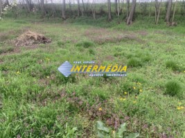 ocazie-teren-intravilan-300-mp-450-mp-si-500-mp-vanzare-barabant-alba-iulia-pentru-cabana-3