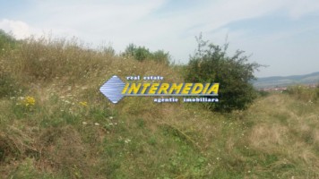 teren-pentru-cabana-de-vanzare-500-mp-alba-iulia-1