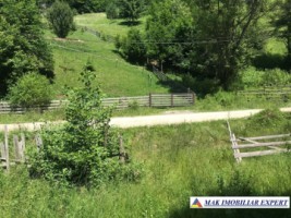 teren-intravilan-de-1-ha-de-vanzare-in-valea-cheii-dambovicioara-arges-18
