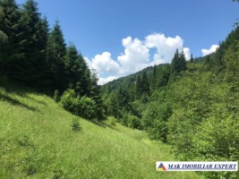teren-intravilan-de-1-ha-de-vanzare-in-valea-cheii-dambovicioara-arges-17