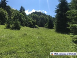 teren-intravilan-de-1-ha-de-vanzare-in-valea-cheii-dambovicioara-arges-19