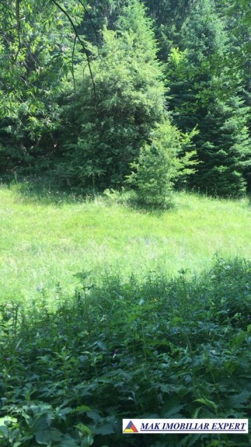 teren-intravilan-de-1-ha-de-vanzare-in-valea-cheii-dambovicioara-arges-23