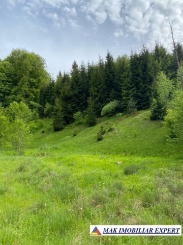 teren-intravilan-de-1-ha-de-vanzare-in-valea-cheii-dambovicioara-arges-27