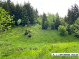 teren-intravilan-de-1-ha-de-vanzare-in-valea-cheii-dambovicioara-arges-29