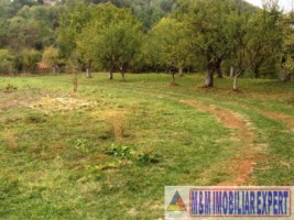 casa-6-camere-teren-8387-mp-in-poienarii-de-muscel-arges-13