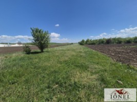 depozit-cu-2900-mp-teren-de-vanzare-in-unirea-7