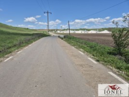 depozit-cu-2900-mp-teren-de-vanzare-in-unirea-10