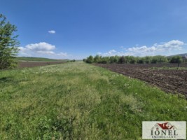 depozit-cu-2900-mp-teren-de-vanzare-in-unirea-8