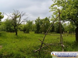 de-vanzare-teren-2075-mp-extravilan-stoenesti-piatra-arges