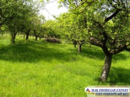 de-vanzare-teren-3294-mp-intravilan-stoenesti-piatra-arges