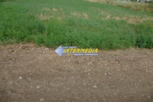 teren-intravilan-de-vanzare-600mp-paclisa