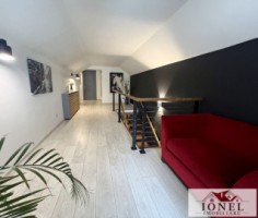 spatiu-comercial-pensiune-de-vanzare-in-alba-iulia-centru-2