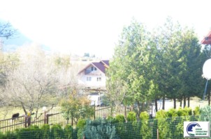 bran-tohanita-teren-intravilan-de-vanzare-1422-mp-12