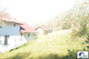 bran-tohanita-teren-intravilan-de-vanzare-1422-mp-15