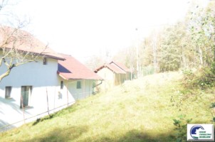 bran-tohanita-teren-intravilan-de-vanzare-1422-mp-16