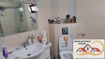 vila-spe-compusa-din-7-camere2-bailiving-bucatarie-6-dormitoarein-comuna-schitu-golesti-pret250000-euro-negociabil-12