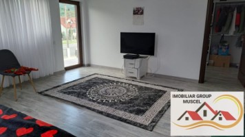 vila-spe-compusa-din-7-camere2-bailiving-bucatarie-6-dormitoarein-comuna-schitu-golesti-pret250000-euro-negociabil-22