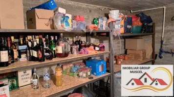 vila-spe-compusa-din-7-camere2-bailiving-bucatarie-6-dormitoarein-comuna-schitu-golesti-pret250000-euro-negociabil-31