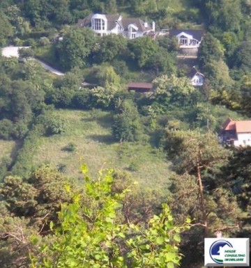 teren-intravilan-situat-in-scheioportunitate-investitie-10
