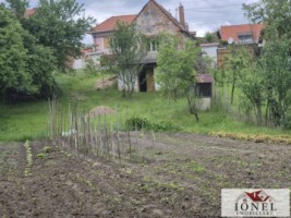 casa-veche-de-vanzare-in-salistea-7