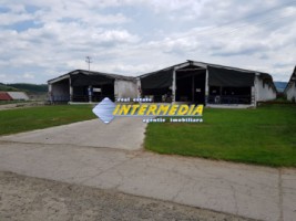 ferma-de-vanzare-in-apropiere-de-alba-iulia