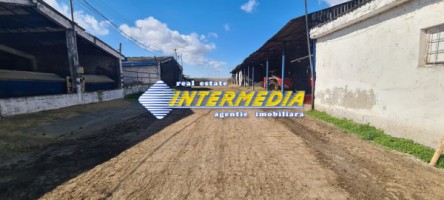 ferma-de-vanzare-in-apropiere-de-alba-iulia-4