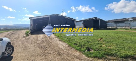 ferma-de-vanzare-in-apropiere-de-alba-iulia-8