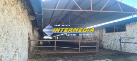 ferma-de-vanzare-in-apropiere-de-alba-iulia-9