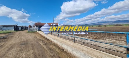 ferma-de-vanzare-in-apropiere-de-alba-iulia-10