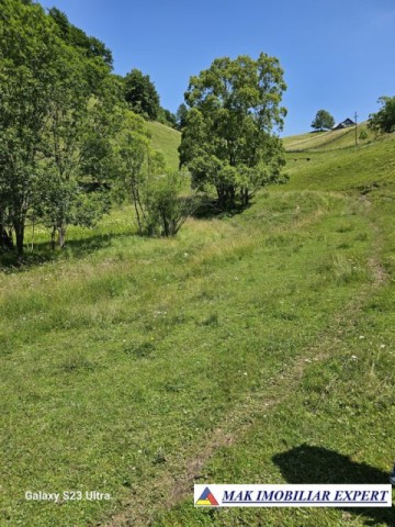 teren-14-ha-extravilan-de-vanzare-in-ciocanu-dambovicioara-arges-21