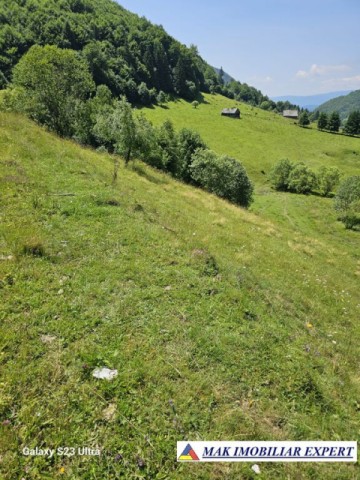 teren-14-ha-extravilan-de-vanzare-in-ciocanu-dambovicioara-arges-22