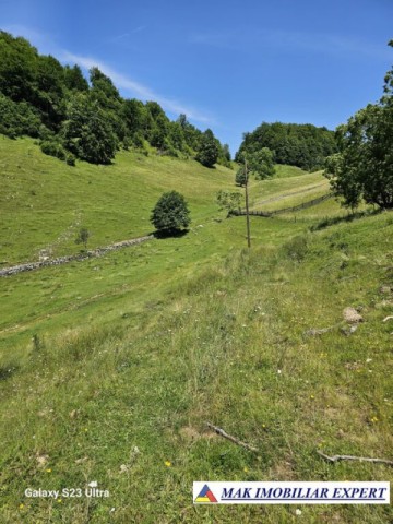teren-14-ha-extravilan-de-vanzare-in-ciocanu-dambovicioara-arges-4
