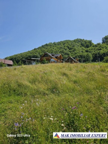 teren-14-ha-extravilan-de-vanzare-in-ciocanu-dambovicioara-arges-1