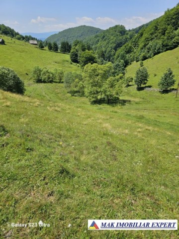 teren-14-ha-extravilan-de-vanzare-in-ciocanu-dambovicioara-arges-2