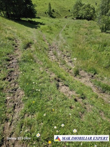 teren-14-ha-extravilan-de-vanzare-in-ciocanu-dambovicioara-arges-25